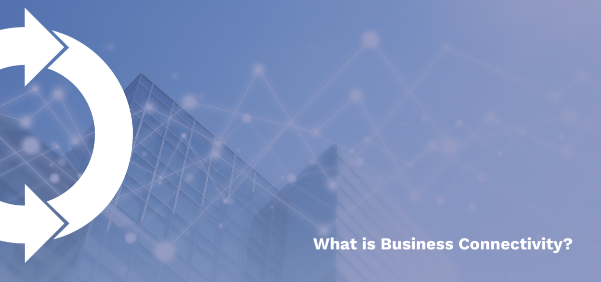 What is Business Connectivity?